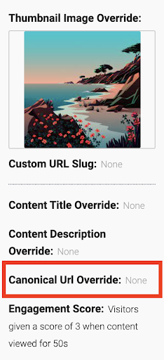 Canonical URL Override option